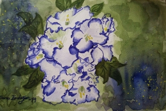 25x17 cm
