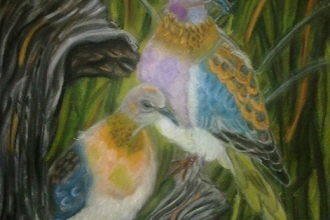 30x40 cm /Uveyik kuşları ..Canson Mi-Teintes On paper
