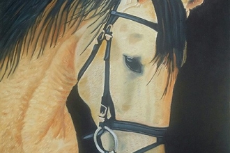 50x70cm ../Asalet..
